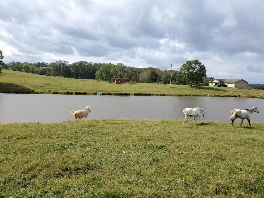 Secluded House On 60 Acres Close To Fall Creek Falls Pikeville Esterno foto
